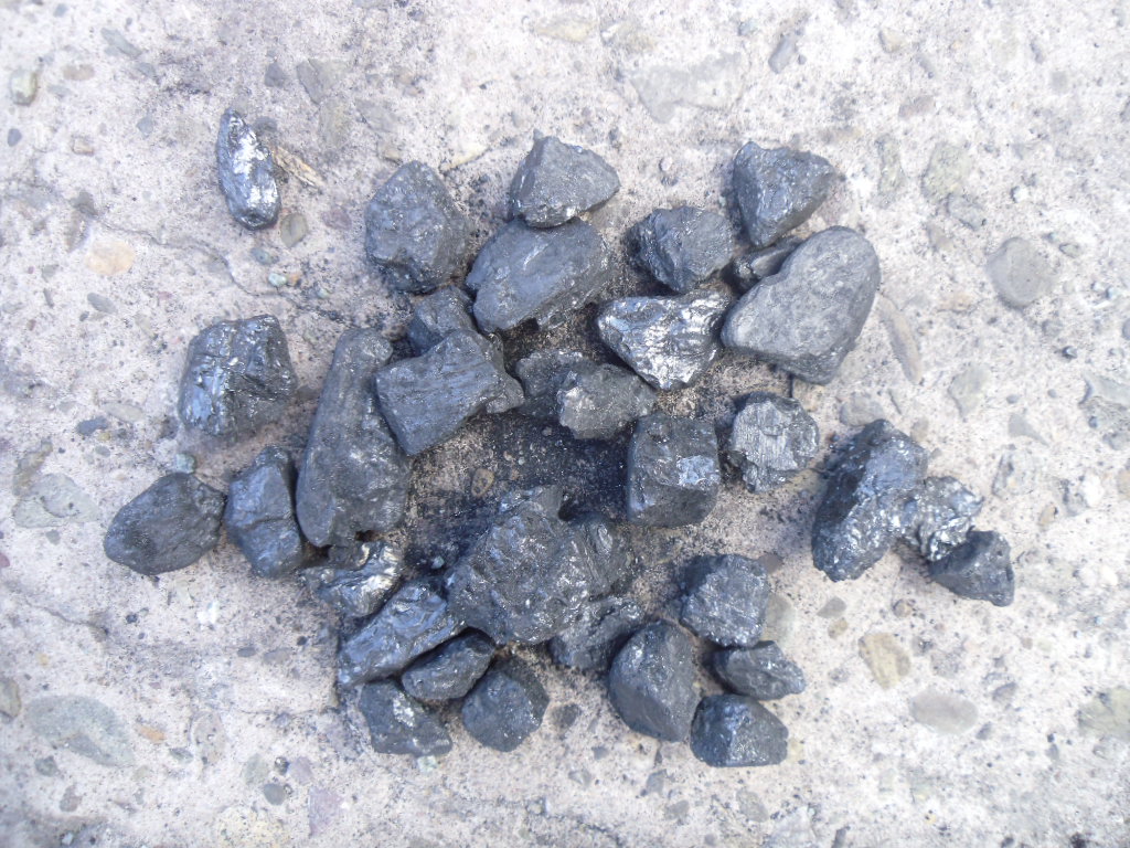 Anthracite Beans