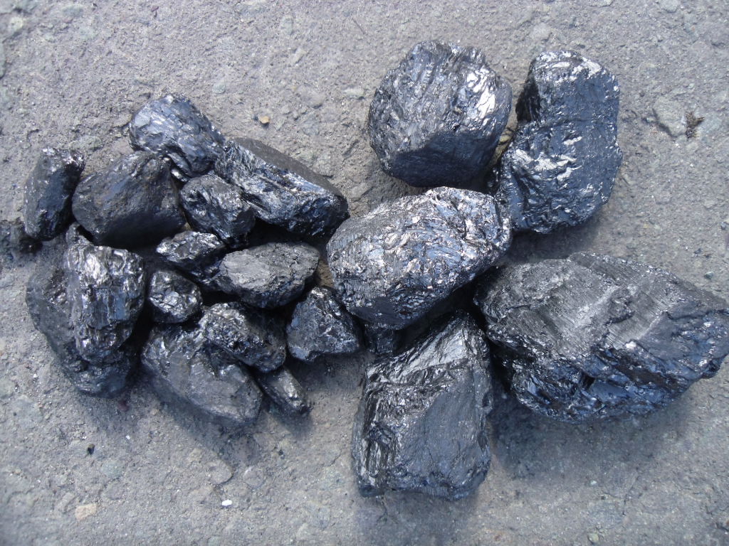 Anthracite Beans